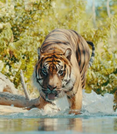 La Flèche Zoo