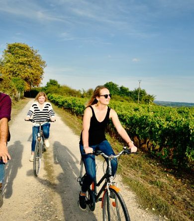 The Loir Valley by bike
