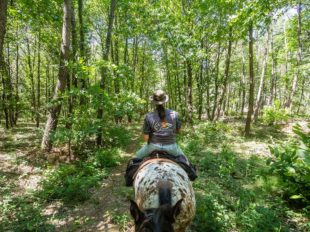 parigne-cheval-aventures—laurene-philippot
