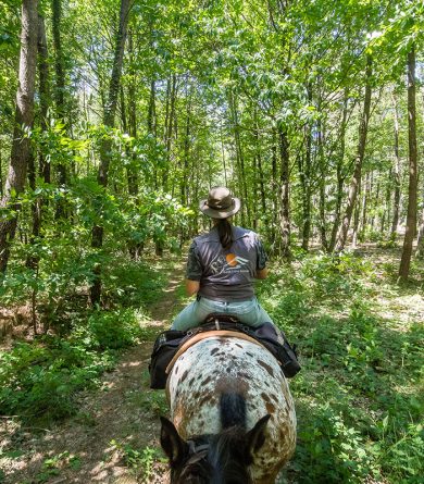 Horse riding in La Sarthe