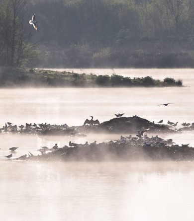 The sensitive natural areas of La Sarthe