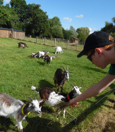 Maison de la Prairie – ferme et jardin potager