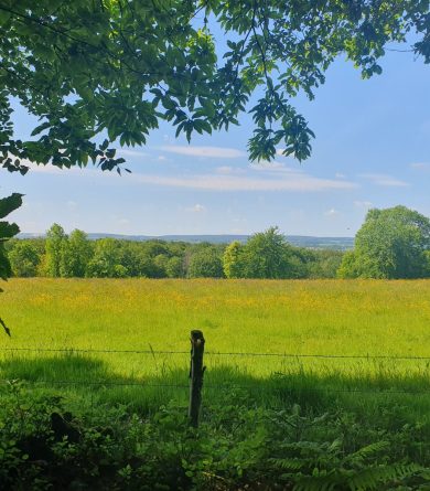 Forêt domaniale de la Petite Charnie