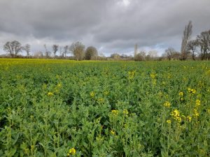 FERME DE LA PÂTURE