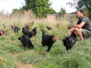 FERME DE LA POULE NOIRE