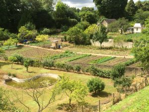 Le Grand-Lucé – La petite ville reconstruite