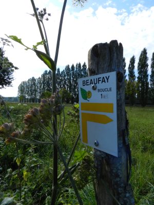 N°7 : De Malitourne à Montplaisir