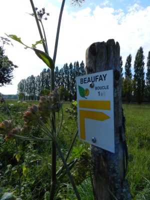 CIRCUIT N°7 : DE MALITOURNE À MONTPLAISIR – BEAUFAY – CIRCUITS ÉQUESTRE (CAVALIERS ET ATTELAGE), PÉDESTRE ET VTT