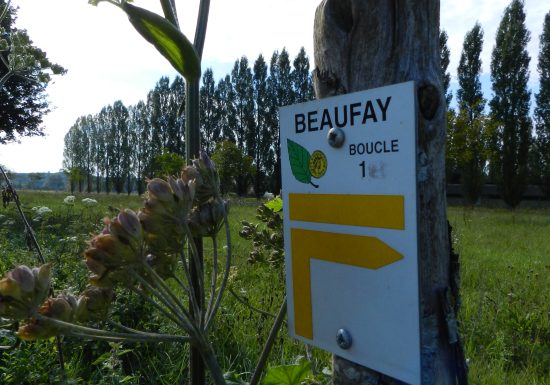 N°7 : De Malitourne à Montplaisir