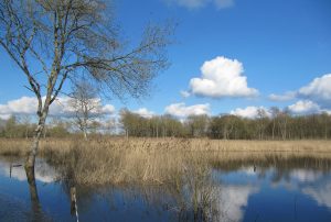 CRÉ SUR LOIR – LE CIRCUIT BOIS ET MARAIS