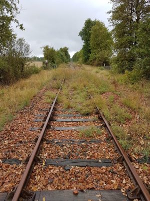 La Bruère-sur-Loir – Découvrons pas à pas La Bruère-sur-Loir