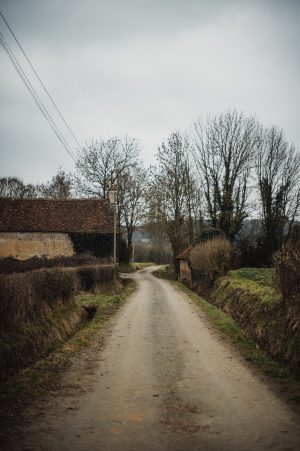 Circuit de la forêt de Mézières