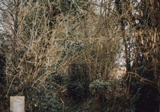 Circuit de la forêt de Mézières