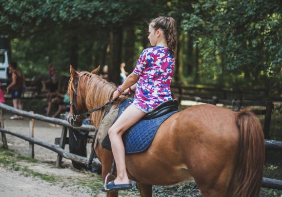 Manège à poneys – Lac de Sillé
