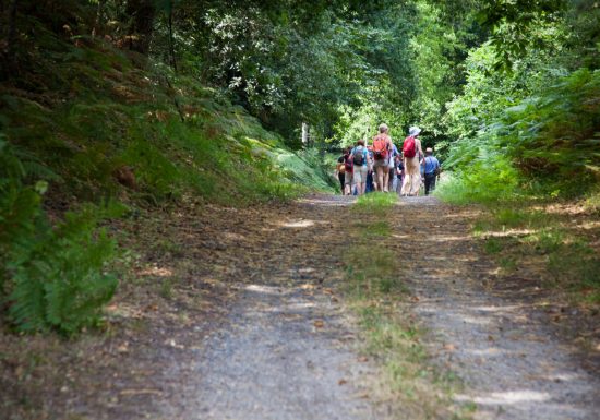 Montreuil-le-Henri- Le circuit Jericho