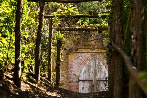 Parcours-découverte du Patrimoine de la Petite Cité de Caractère de MONTMIRAIL