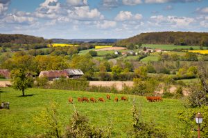 PARCOURS-DÉCOUVERTE DE LA PETITE CITÉ DE CARACTERE DE MONTMIRAIL