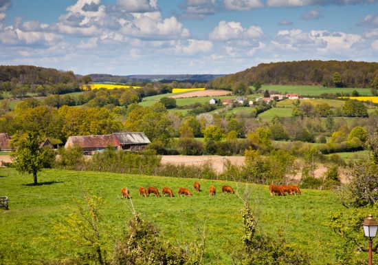 Circuit vélo autour de La Ferté-Bernard