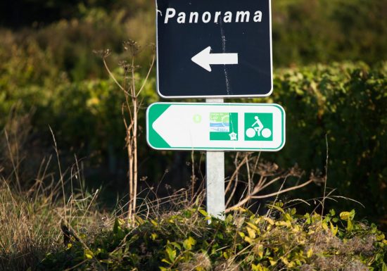 Boucle n°5 : Le vignoble de Jasnières