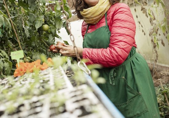 CBON CBIO – Ateliers Nature, Permaculture & Cosmétiques