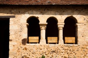 N°11 : À l’assaut des collines du Rosay