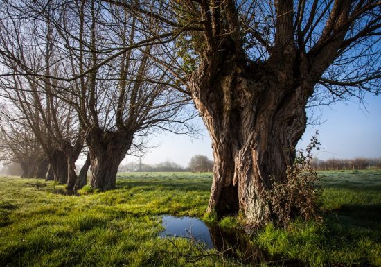 Au coeur du bocage Percheron