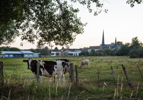 Ronde du Palet de Gargantua