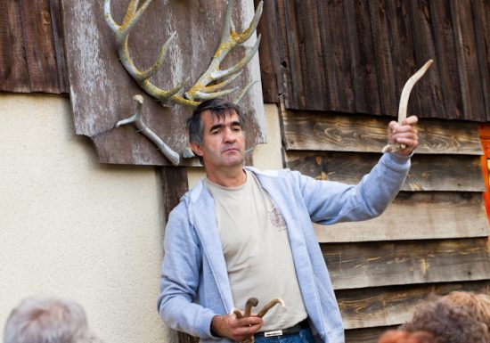 Safari ferme : élevage de cerfs