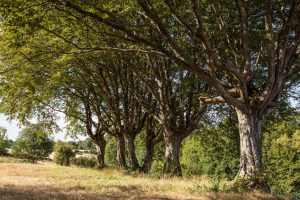 La Vallée de la Chéronne