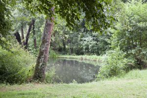 N°38 : La Vallée de l’Étangsort
