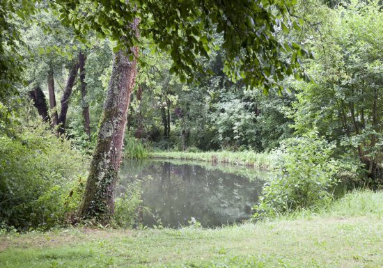 La Vallée de l’Étangsort