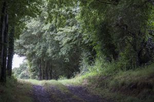 N°41 : Sur la Via Turniacensis