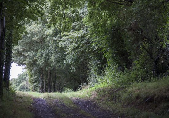 Sur la Via Turniacensis