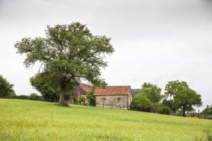 PARCOURS-DÉCOUVERTE DE TRESSON-MAISONCELLES