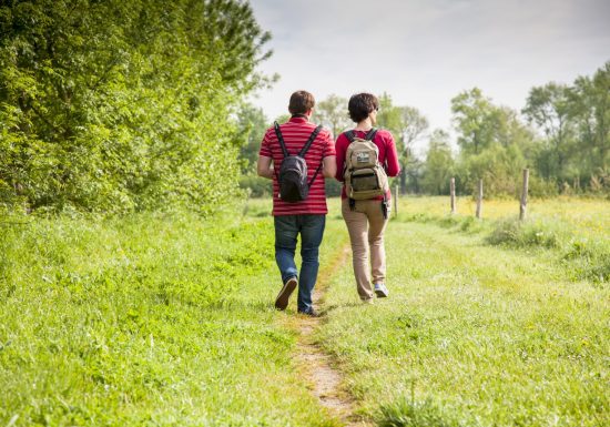 Réserve naturelle régionale Marais de Cré sur Loir / La Flèche