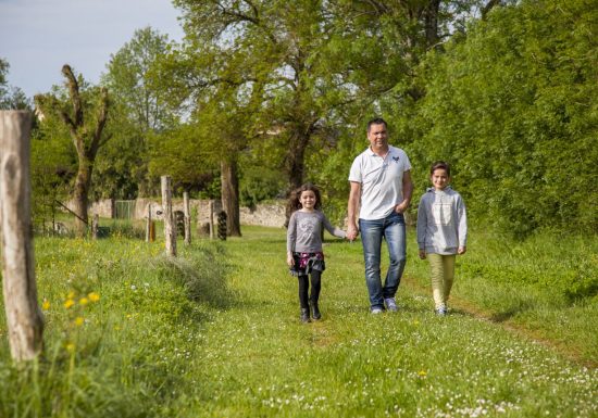 Réserve naturelle régionale Marais de Cré sur Loir / La Flèche