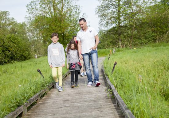 Réserve naturelle régionale Marais de Cré sur Loir / La Flèche