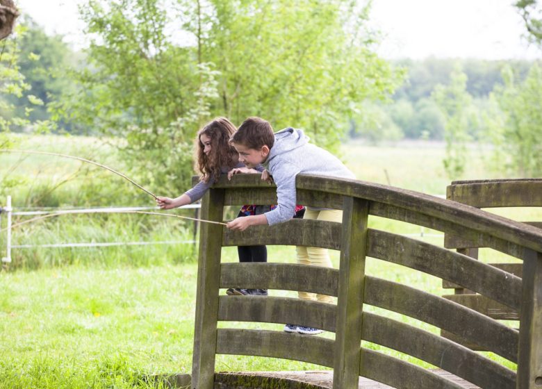 Réserve naturelle régionale Marais de Cré sur Loir / La Flèche