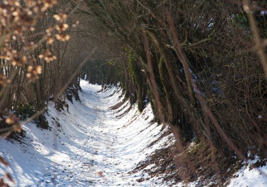 MONTMIRAIL, LITTLE TOWN OF CHARACTER