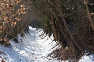 PARCOURS-DÉCOUVERTE DE LA PETITE CITÉ DE CARACTERE DE MONTMIRAIL