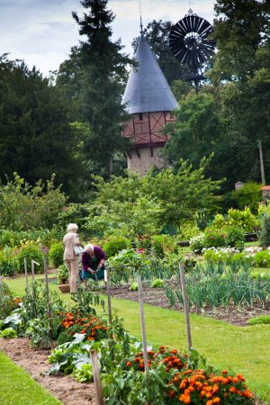 CIRCUIT N°1 : CÔTÉ CHEMIN CÔTÉ JARDIN – BONNÉTABLE