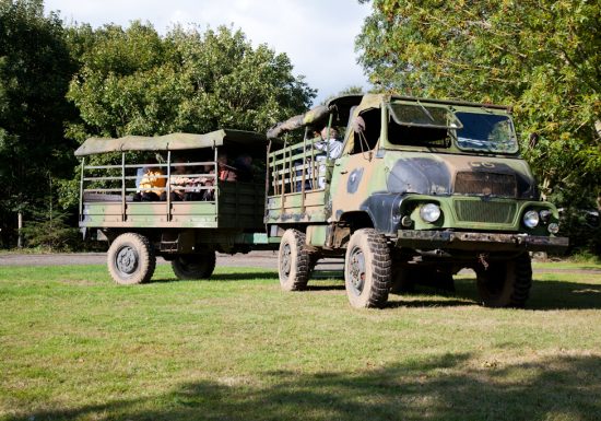 Safari ferme : élevage de cerfs