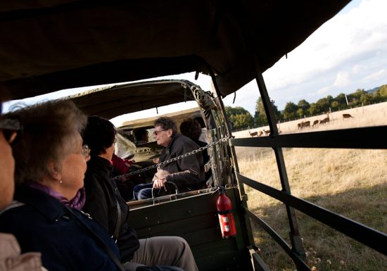 Safari ferme : élevage de cerfs