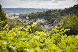 Domaine viticole La Raderie