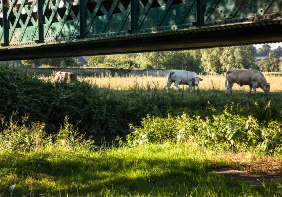 Au coeur du bocage Percheron