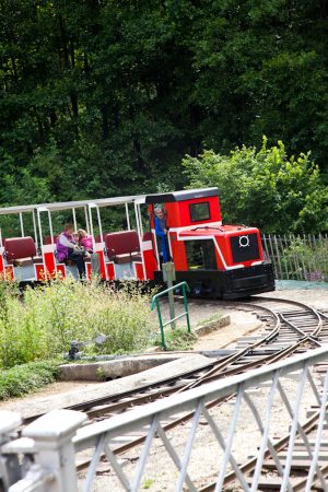 Le Muséotrain de Semur-en-Vallon