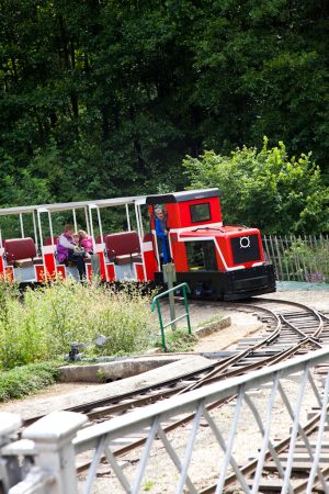 LE MUSEOTRAIN DE SEMUR-EN-VALLON