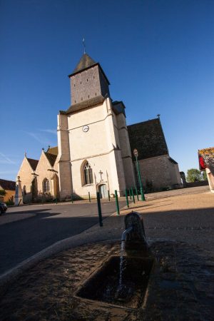 CIRCUIT N°8 : AU COEUR DU BOCAGE PERCHERON – AVEZÉ