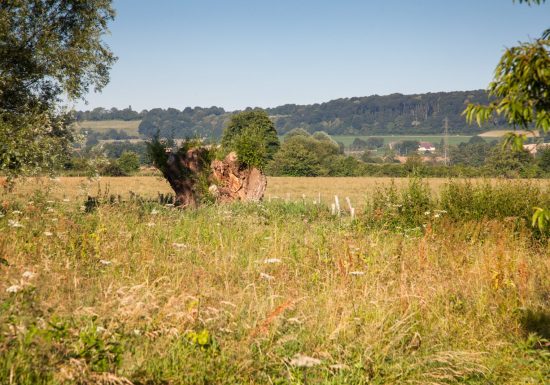 Au coeur du bocage Percheron