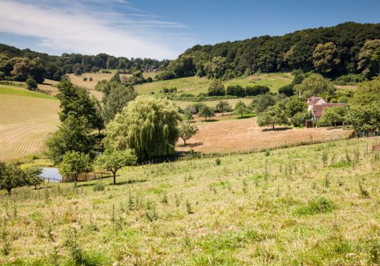 CIRCUIT N°8 : AU COEUR DU BOCAGE PERCHERON – AVEZÉ